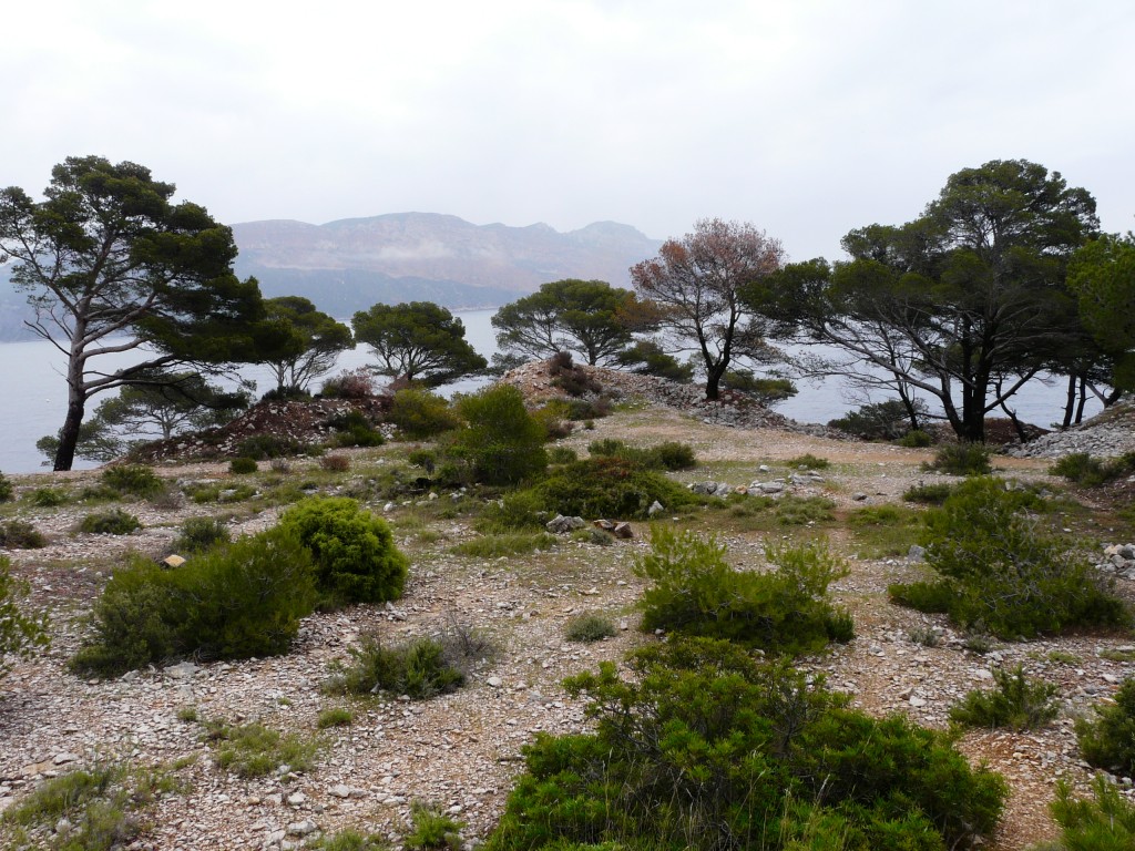 Cassis, 29-05-08, 11-12.jpg